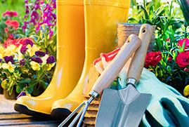 Gardening Placeholder Image