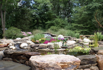 A natural water feature with plantings creates a beautiful landscape design