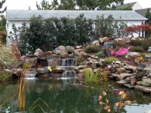Plantings hide a garage and provide a backdrop for a waterfall and pond in this NJ landscape