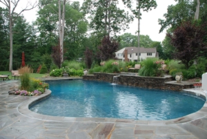 Custom Pool design completes the backyard landscape at this home